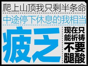 圆梦之行最新爆料是哪一集